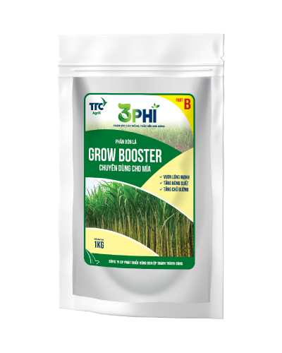 Phân bón lá sinh học 3PHI Grow Booster (B)