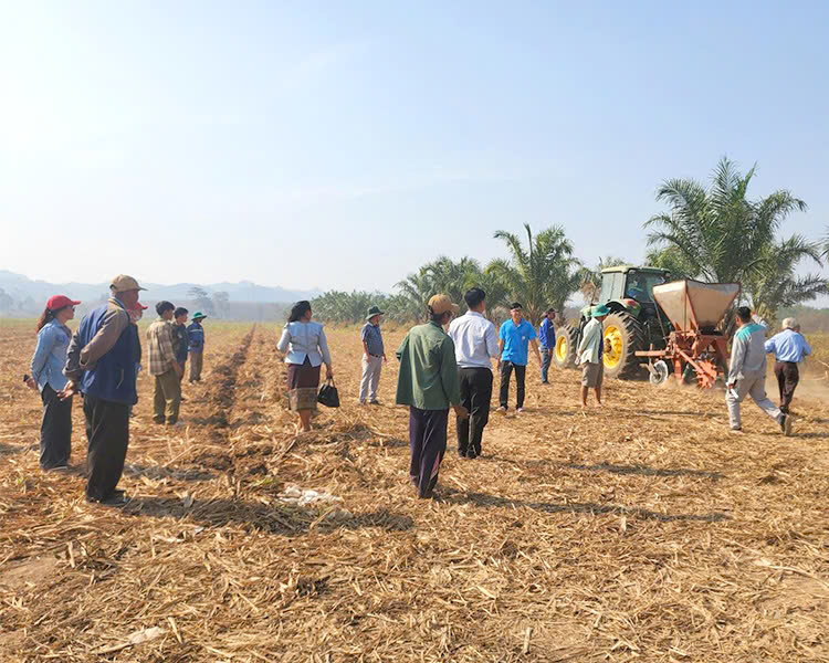 HỘI THẢO ĐẦU BỜ: HƯỚNG DẪN TẠO MÍA MỘT MẮT MẦM VÀ CHĂM SÓC MÍA VỚI PHÂN HỮU CƠ TTC AGRIS.