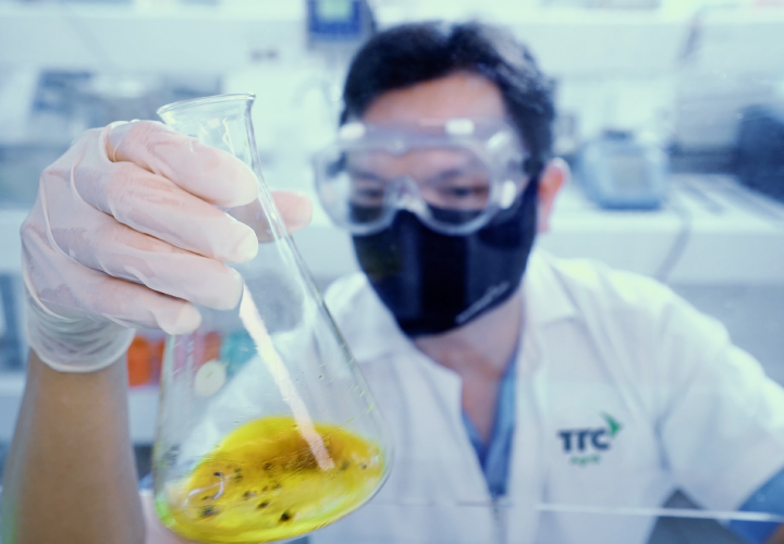 Đội ngũ R&D